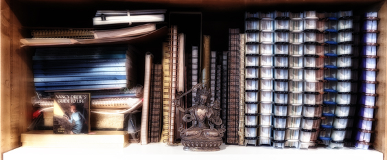 bookshelf of filled journals